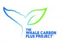 The Whale Carbon Plus Project™